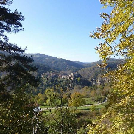 Gite En Pierre Avec Terrasses, Proche De Sites Medievaux, Ideal Pour Famille Avec Equipements Bebe. - Fr-1-582-256 Boisset  Eksteriør billede