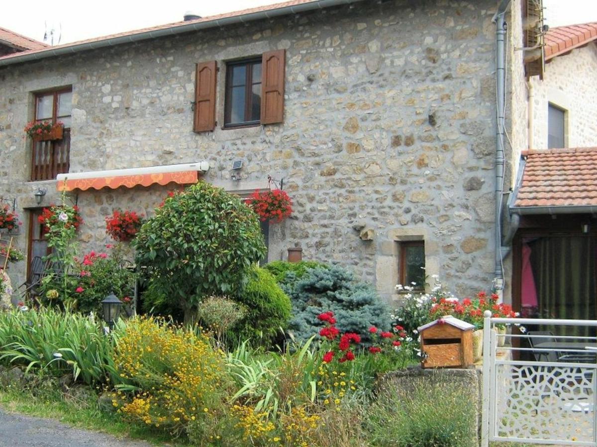 Gite En Pierre Avec Terrasses, Proche De Sites Medievaux, Ideal Pour Famille Avec Equipements Bebe. - Fr-1-582-256 Boisset  Eksteriør billede
