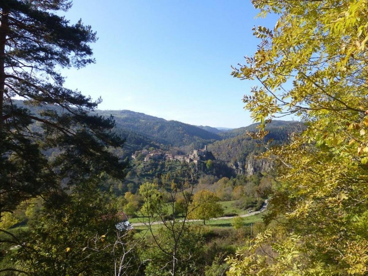 Gite En Pierre Avec Terrasses, Proche De Sites Medievaux, Ideal Pour Famille Avec Equipements Bebe. - Fr-1-582-256 Boisset  Eksteriør billede